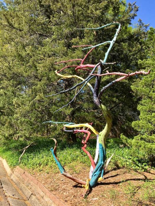 Dead juniper tree sculpture