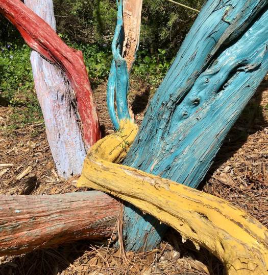 Tree snag with brightly coloured branches