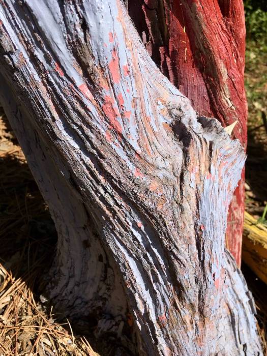 Tree art textures: red and lavender