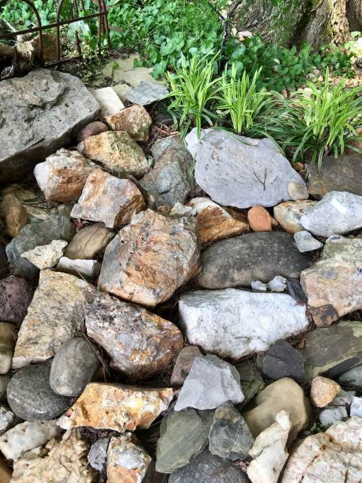 Collection of rocks and stones used as mulch