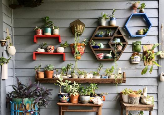 Display of succulents on a porch, Cooper-Young 7th Annual Garden Walk