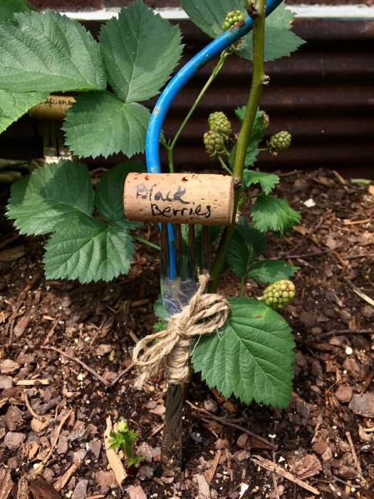 Fork and wine cork plant label