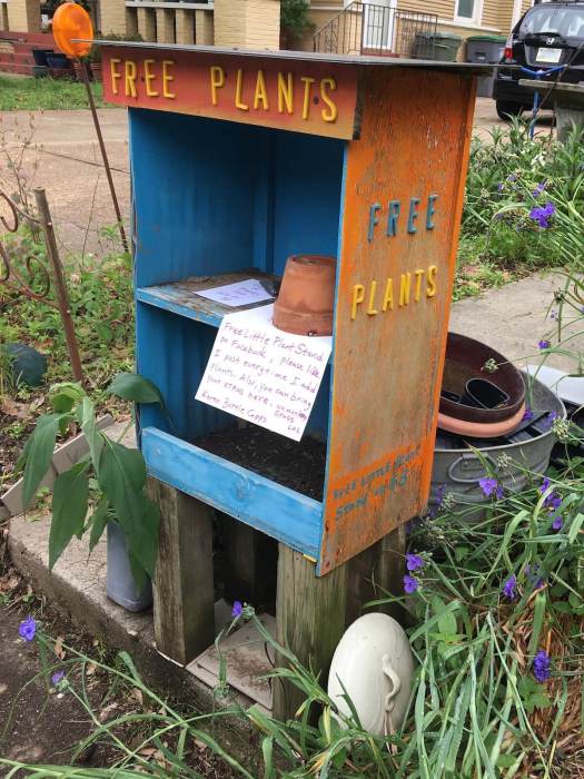 Free Little Plant Stand