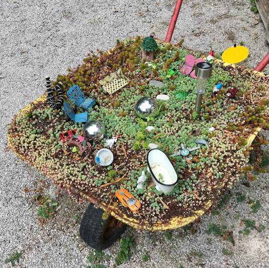 Succulent garden with children's accessories in a wheelbarrow