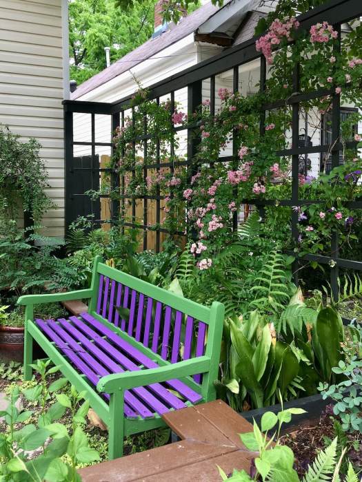Open trellis painted black with a pink climbing rose