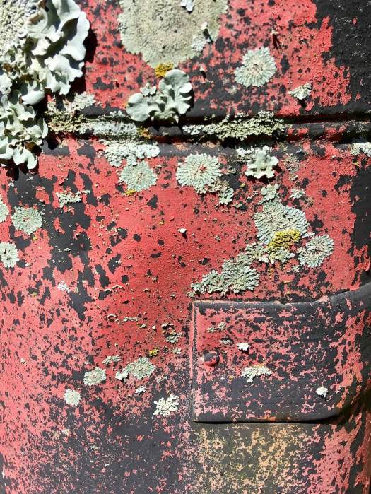 Metal with flaking paint and lichens