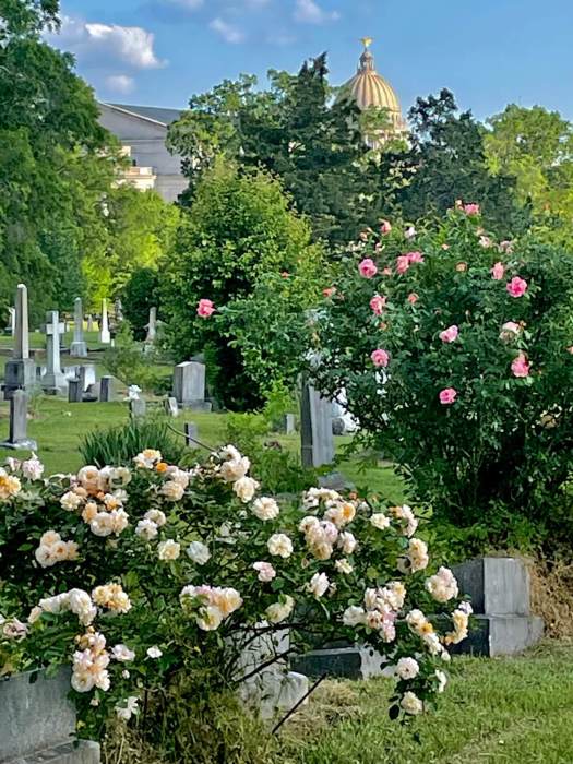 Jackson State Capitol overlooking Greenwood Cemetery
