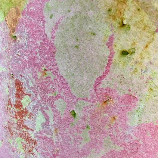 Textures and patterns: pink and green