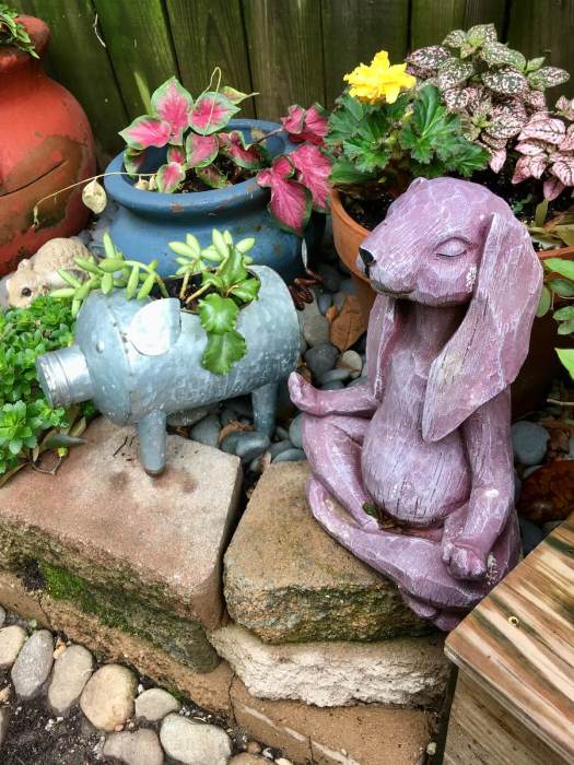 Yoga rabbit and metal pig planter