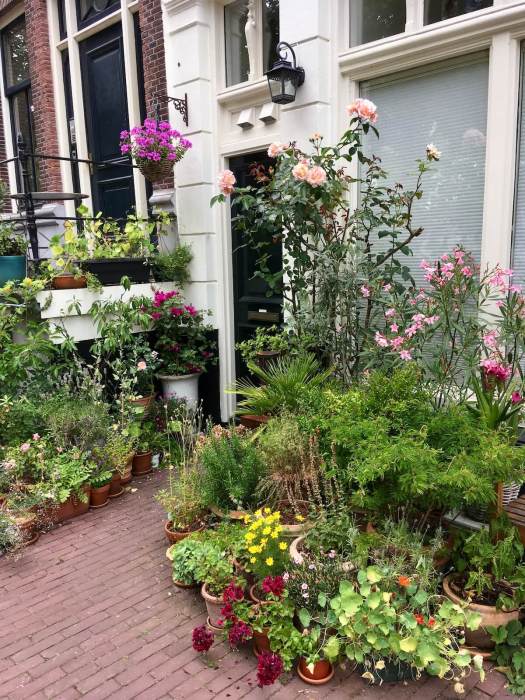 Container garden in Amsterdam street