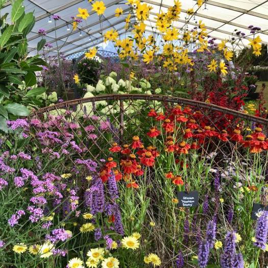 Holden Clough's Southport Flower Show display