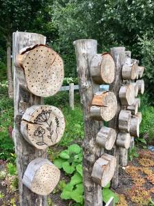 Slices of tree trunks used to make an insect hotel