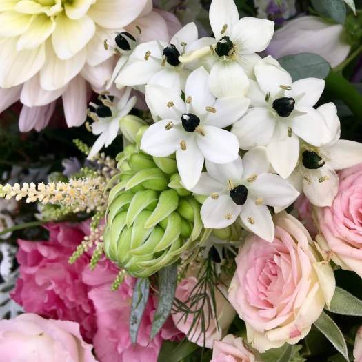 Ornithogalum arabicum in an arrangement by Longton with Hutton Flower Club