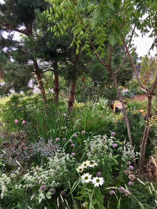 EuroParcs garden's textural style of planting at Floriade 22