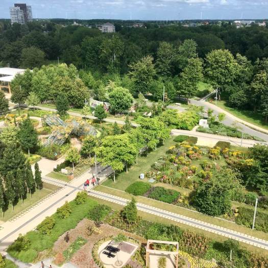 Overhead view of Floriade showing grid layout