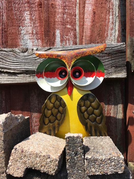 Metal owl, back alley, Darwen, Lancs