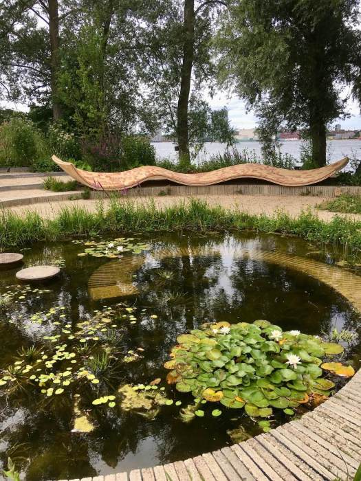 Lily pond with spiral path