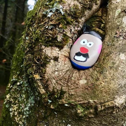 Man pebble left in a hole in a tree