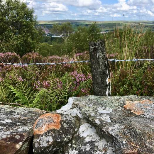 Stone wall with lichen and barbed wire fence