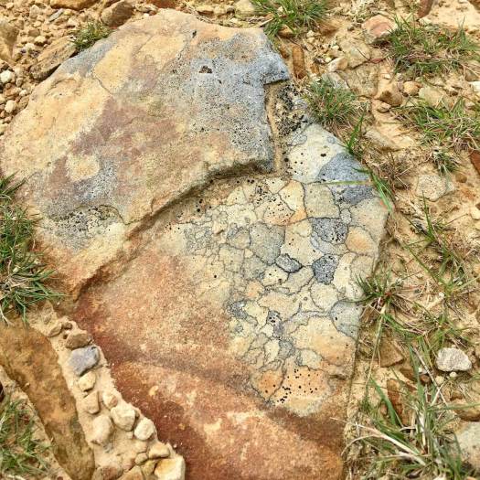 Wild art: uneven stone patterned with lichens