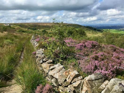 Tackler's Trail, part of Witton Weaver's Way, crossing Darwen Moor