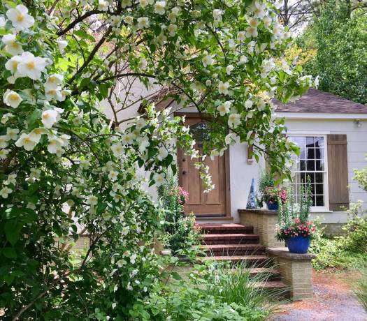 Mississippi cottage garden