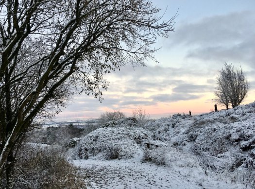 Snowy path from Darwen Tower