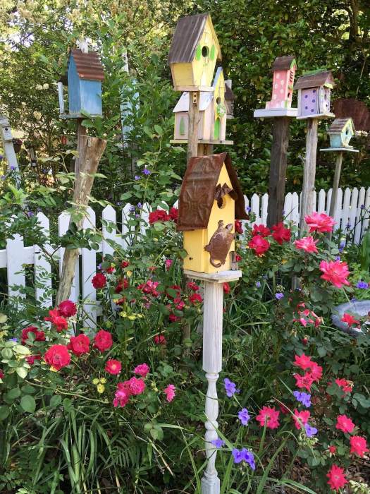 Suzie Cranston's Garden with roses and birdhouses
