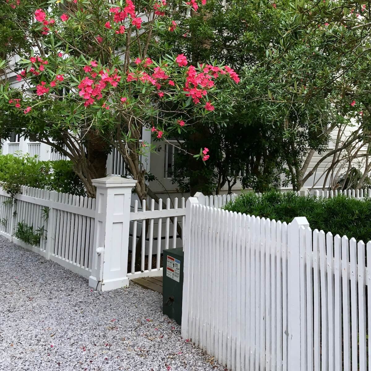 Variations on a Theme: White Picket Fences – Susan Rushton