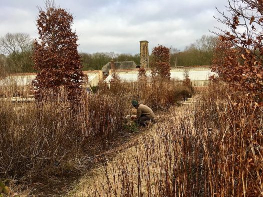 Gardener in the walled garden at RHS Bridgewater in winter