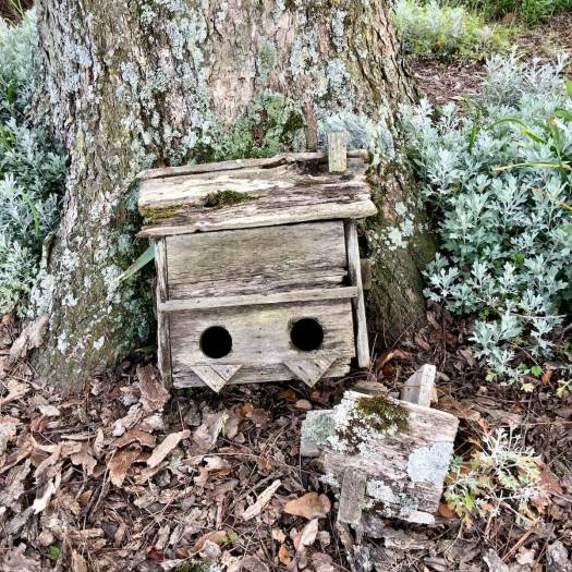 Broken birdhouse at the base of a tree