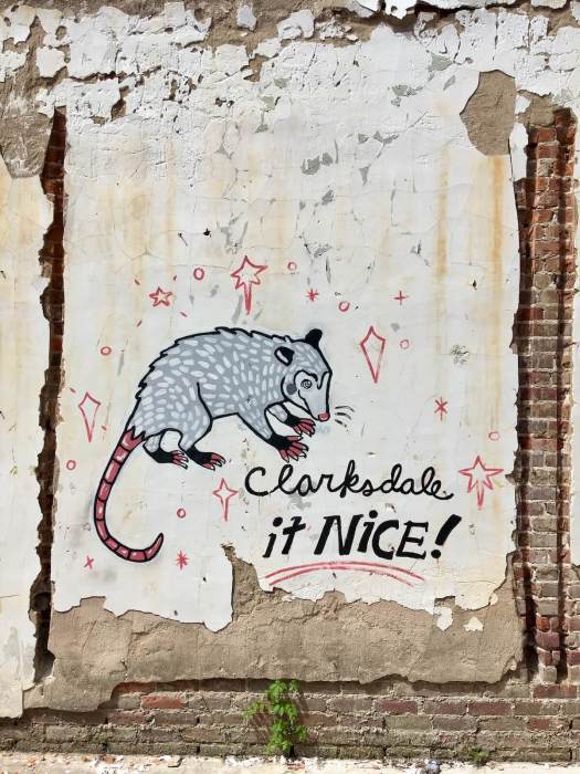 Possum on a faded brick and plaster wall saying 'Clarksdale it Nice!'