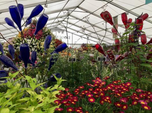 Hillview Hardy Plants stand with bottle trees in the Floral Marquee, Chatsworth