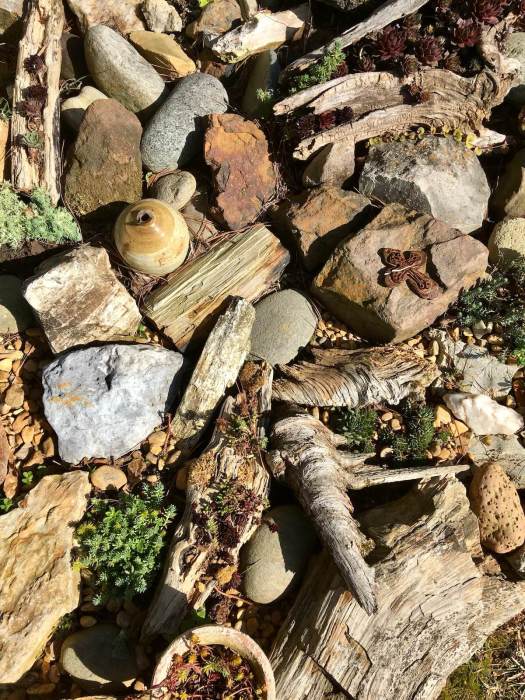 Fragments of stone and wood in a rockery garden