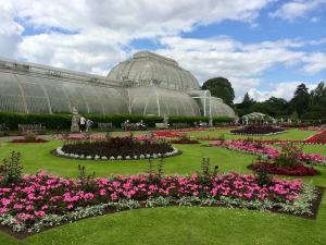 Kew Garden's Palm House with bedding plants