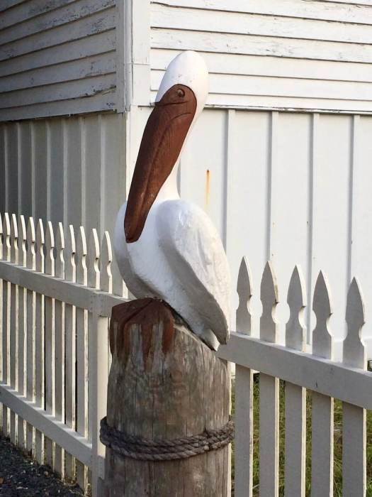 Carved pelican