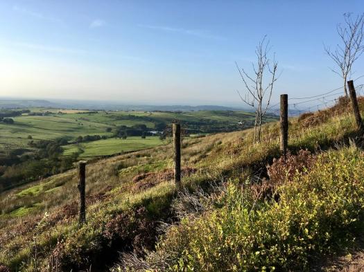 Wood and wire fence on Darwen moor
