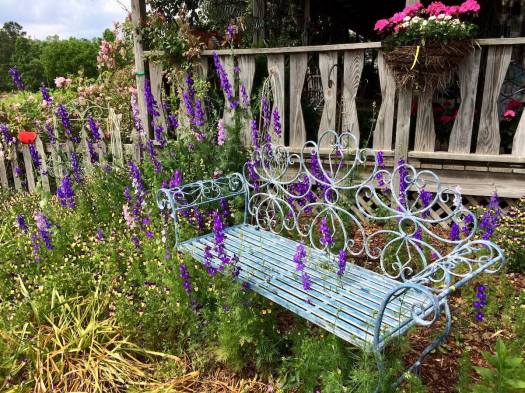 Fence and chair with larkspur at Petals from the Past