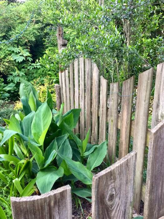 Wooden fence with curved top