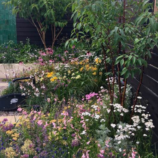 Romantic planting, The Balanced Garden, Tatton Park Flower Show