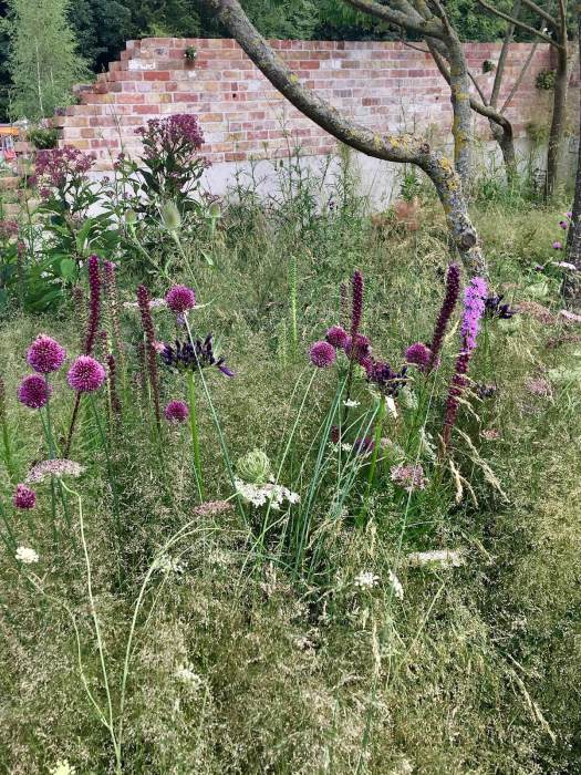 Seeking Resilience Garden: romantic planting of grasses and flowers