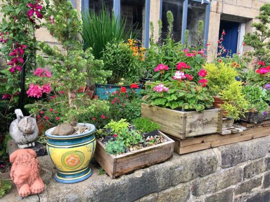 Terraced house with container garden, Hebden Bridge