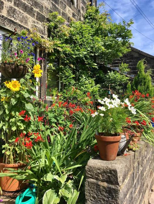 Terraced house garden stuffed with flowers in Heptonstall
