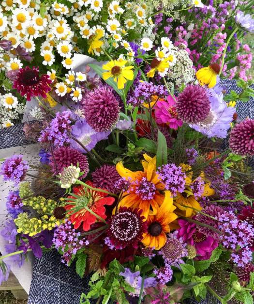 Late summer bouquet of garden flowers