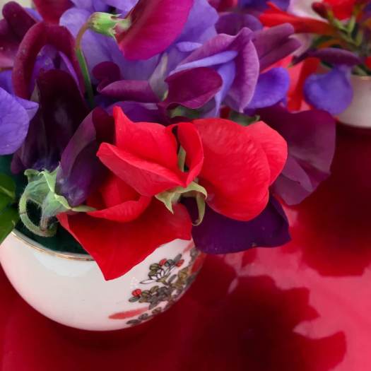 Posy of sweet peas on a red table