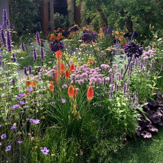 Rachel Platt created a bold, flowery cramscape at Tatton Park 2023