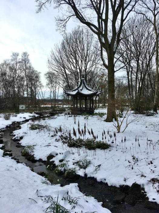 Chinese streamside garden at RHS Bridgewater, Winter 2024