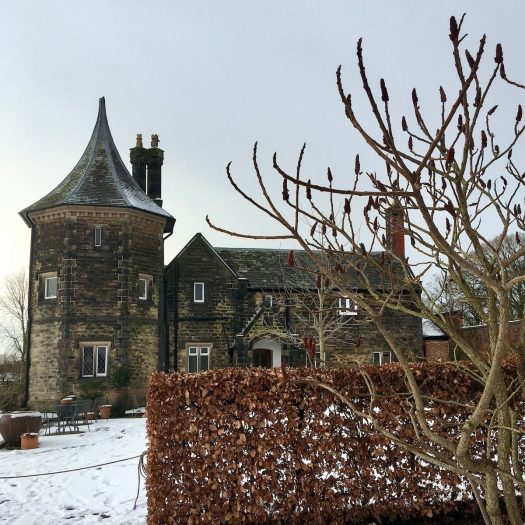 Garden cottage, beech hedge and staghorn sumac