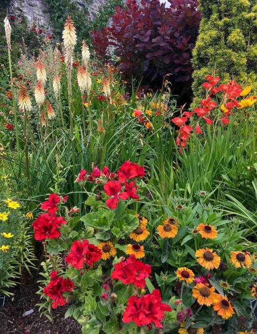 Hot border at Bodnant Garden