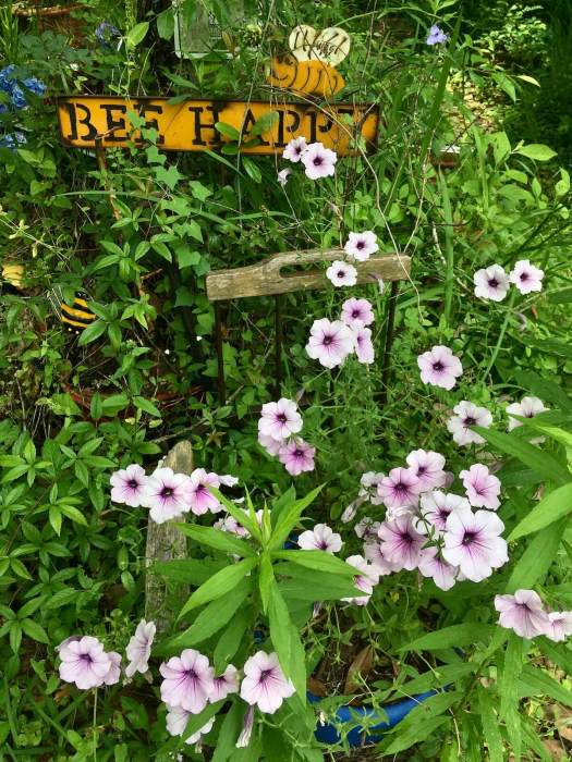 Bee happy sign with petunias
